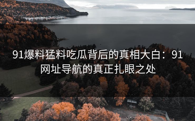 91爆料猛料吃瓜背后的真相大白：91网址导航的真正扎眼之处